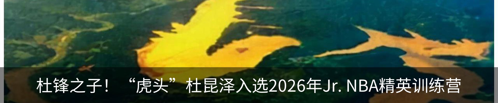 资讯动态